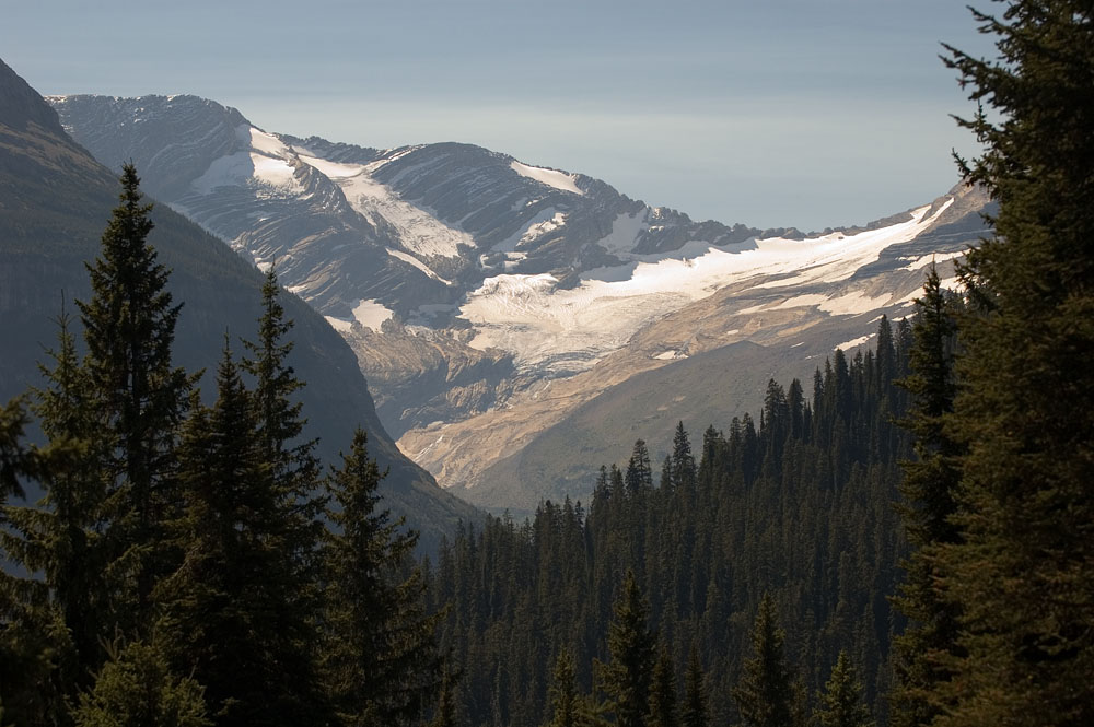 Jackson Glacier 