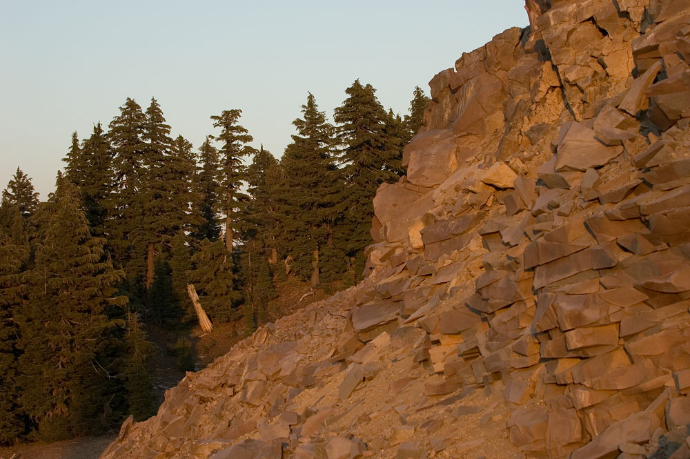 Golden Hour in Oregon 