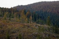 DSC_1895_Golden_Hour_in_Idaho