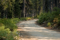 DSC_1945_Inviting_Lolo_Motorway