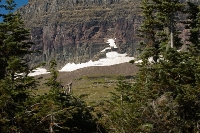 DSC_1972_Snowfields_at_Glacier 