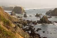 DSC_2351_California_Coast 